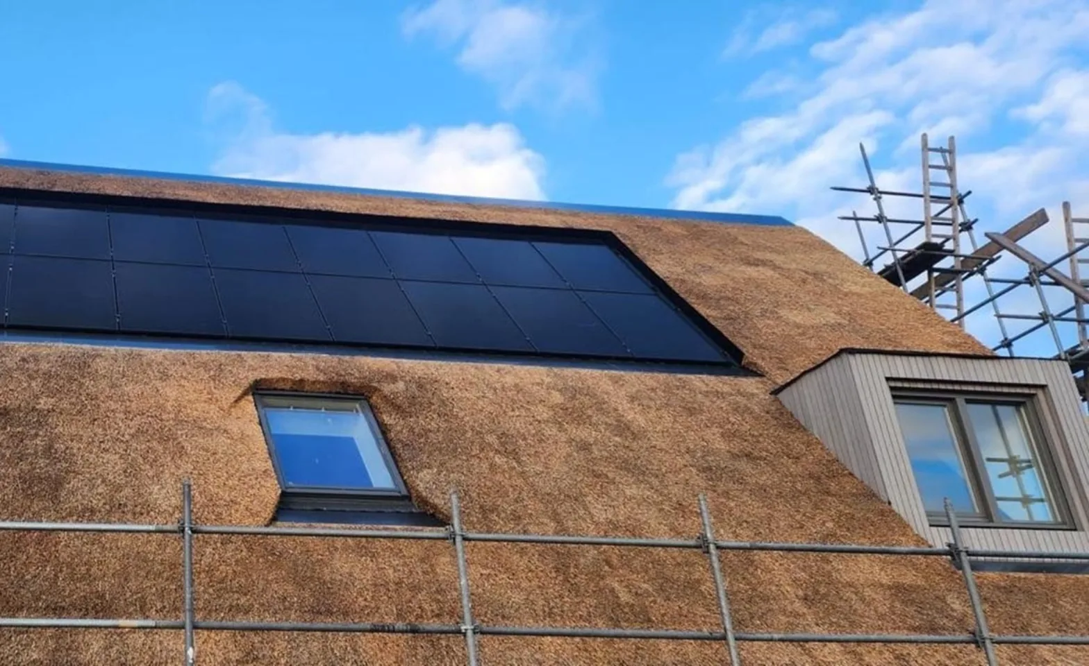 IT20251209 PGM webdetail