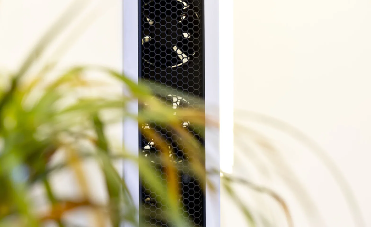 IT20260305 Jaga webdetail