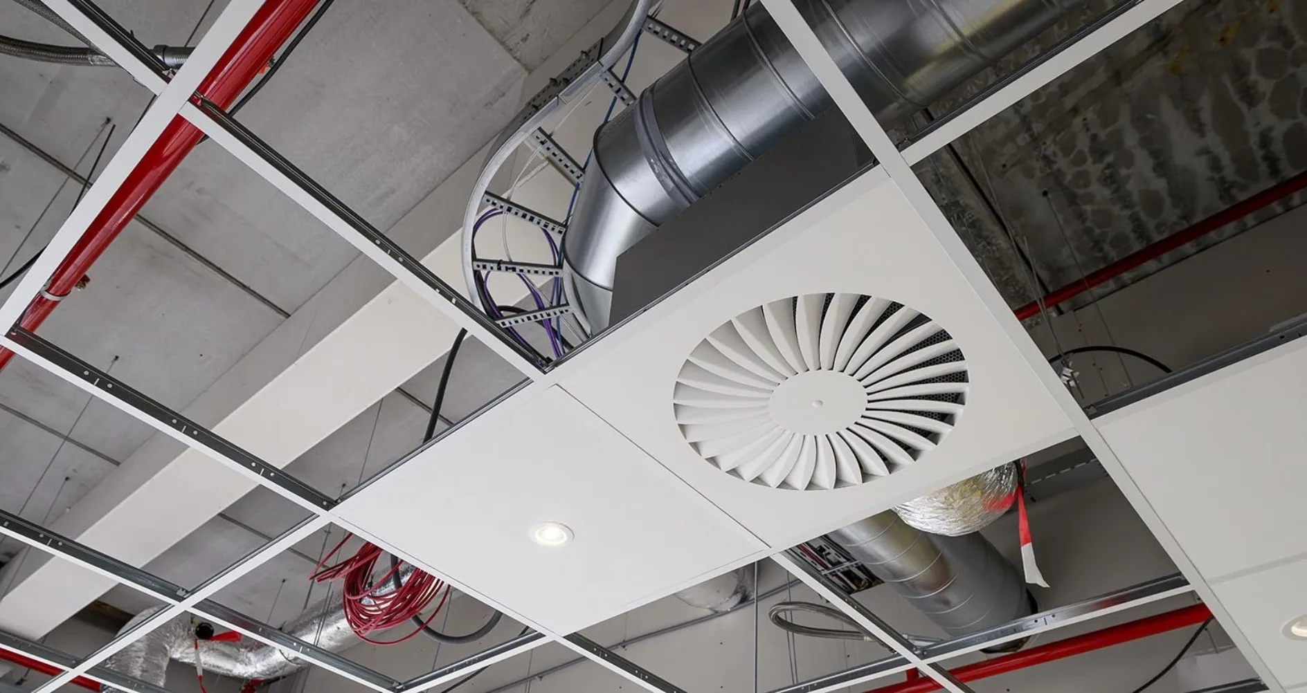 IT20250922 Nijburg web 521