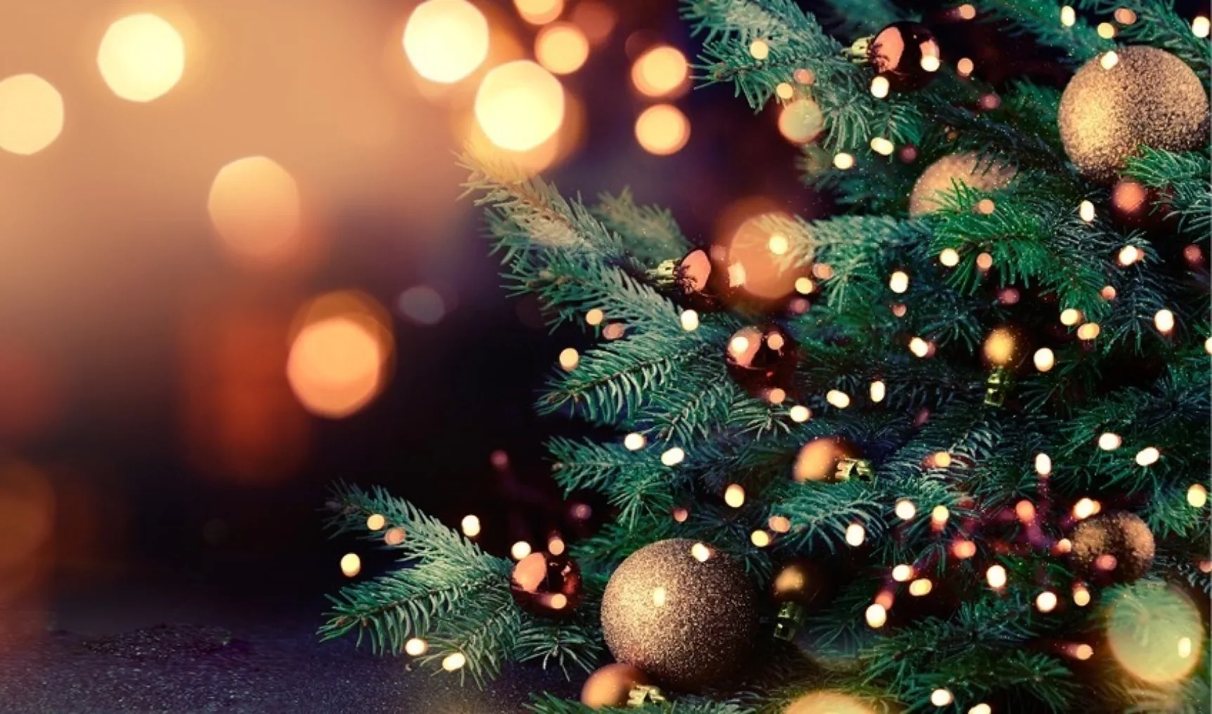 IT20221219 Techniek Nederland 650x383px kerst