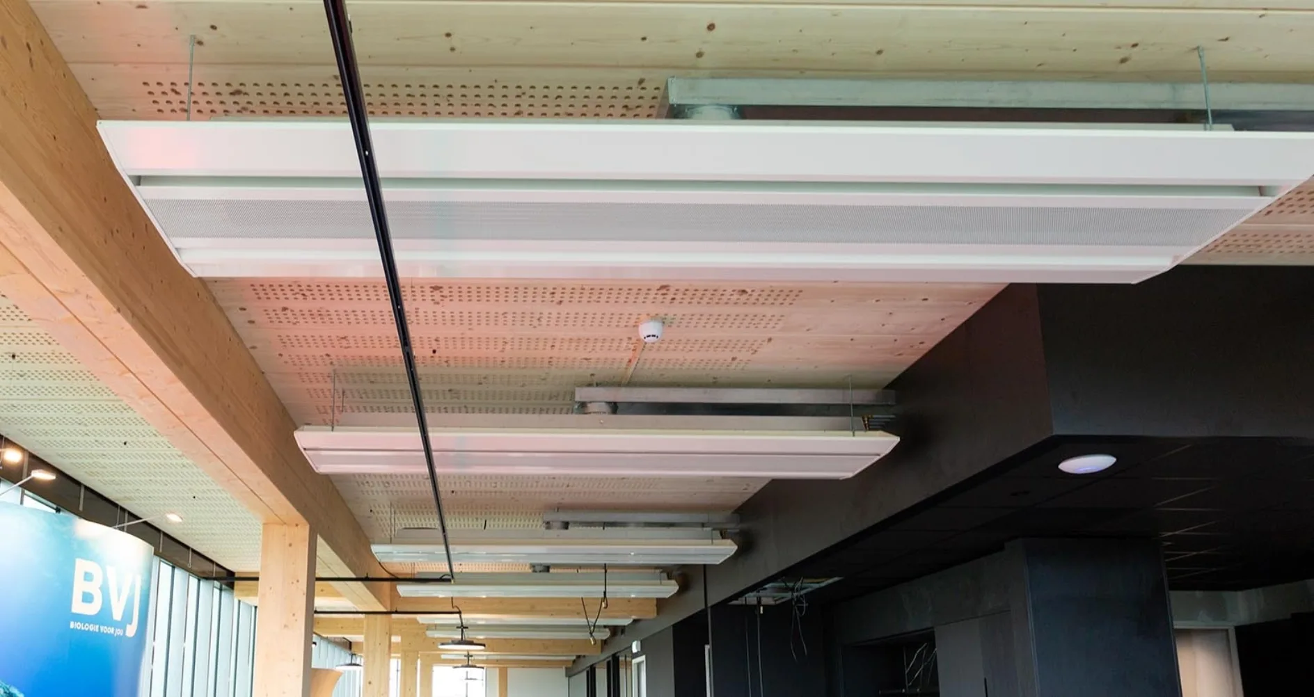 IT20260121 Solid air web