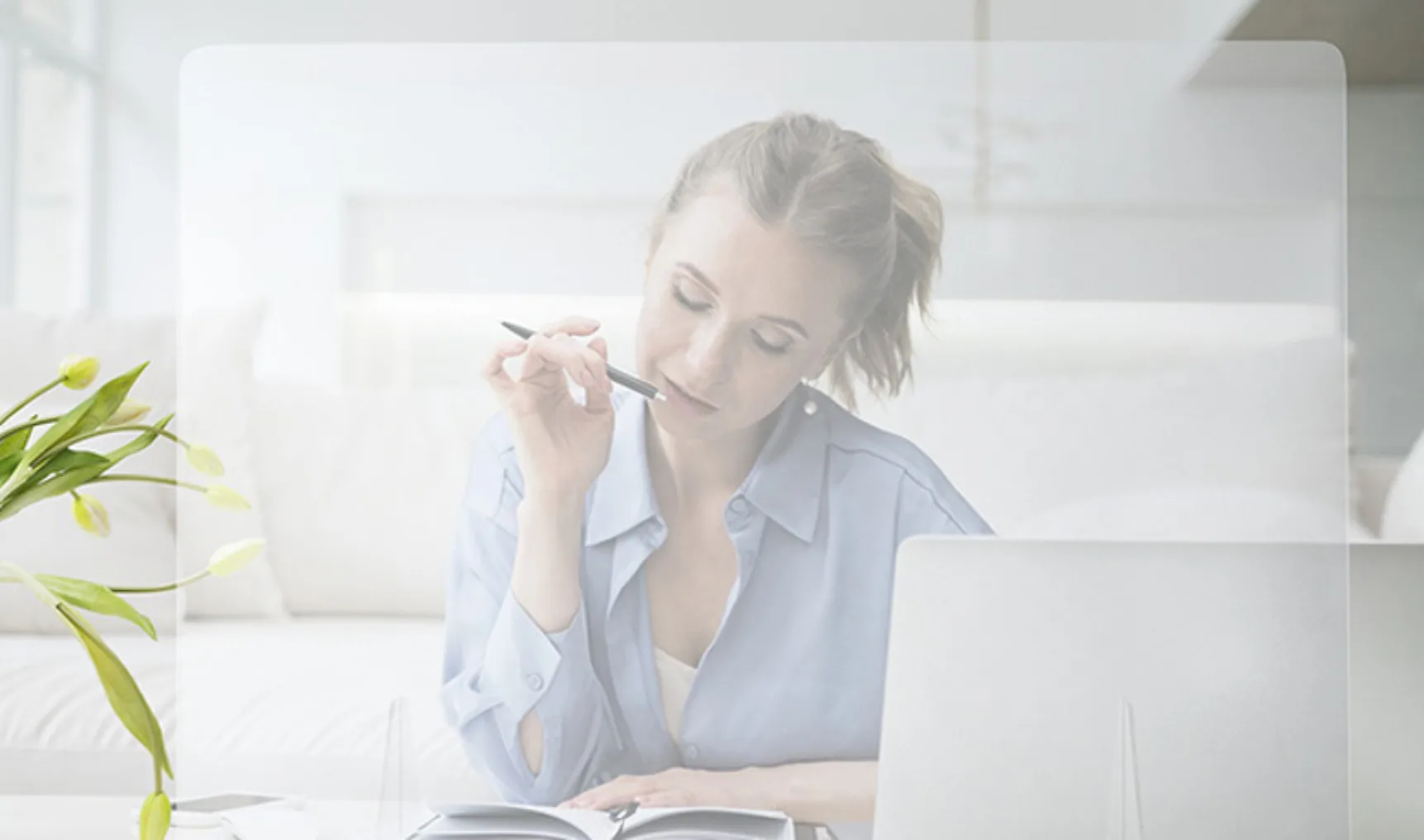 IT202004 Wiltec650x383