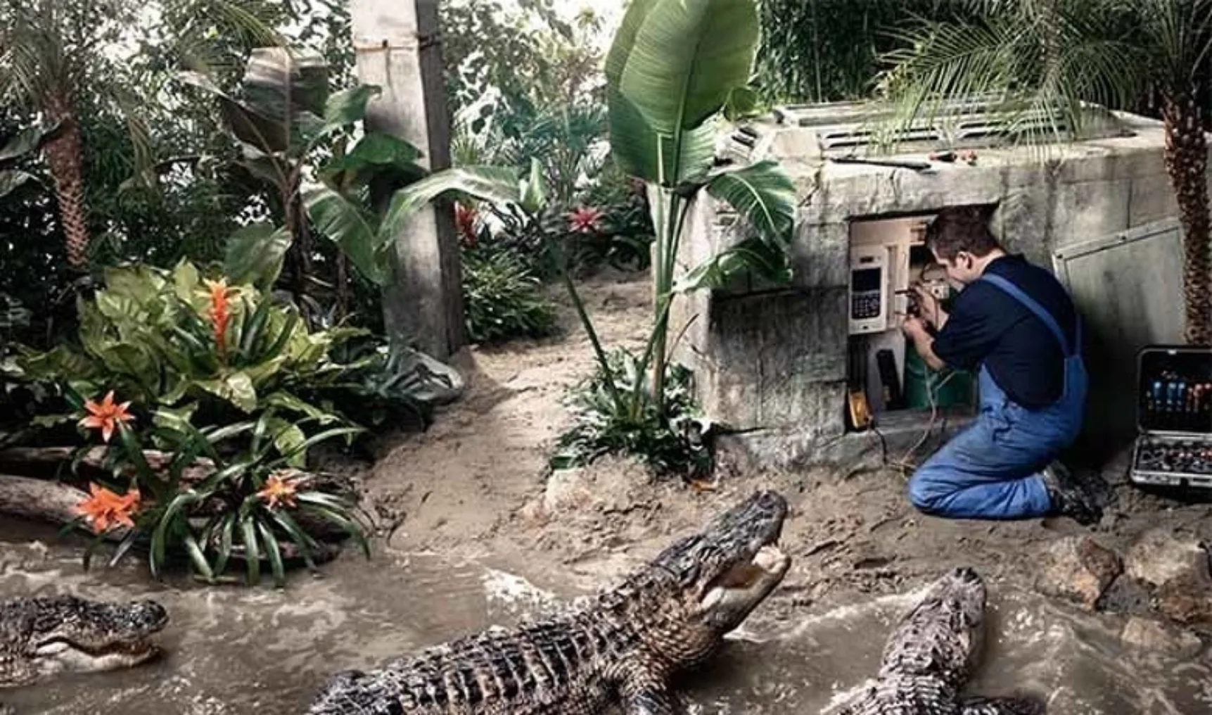 IT20211028 go 650x383 Koudetechniek Artikel