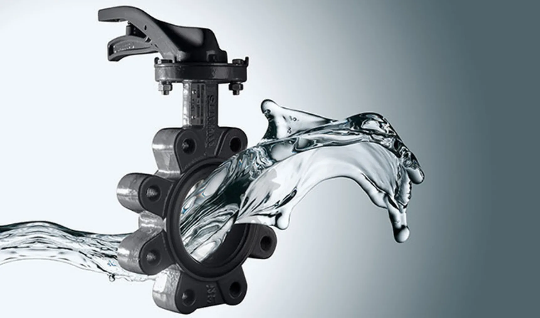 IT20230626 Xylia creative v1 lo