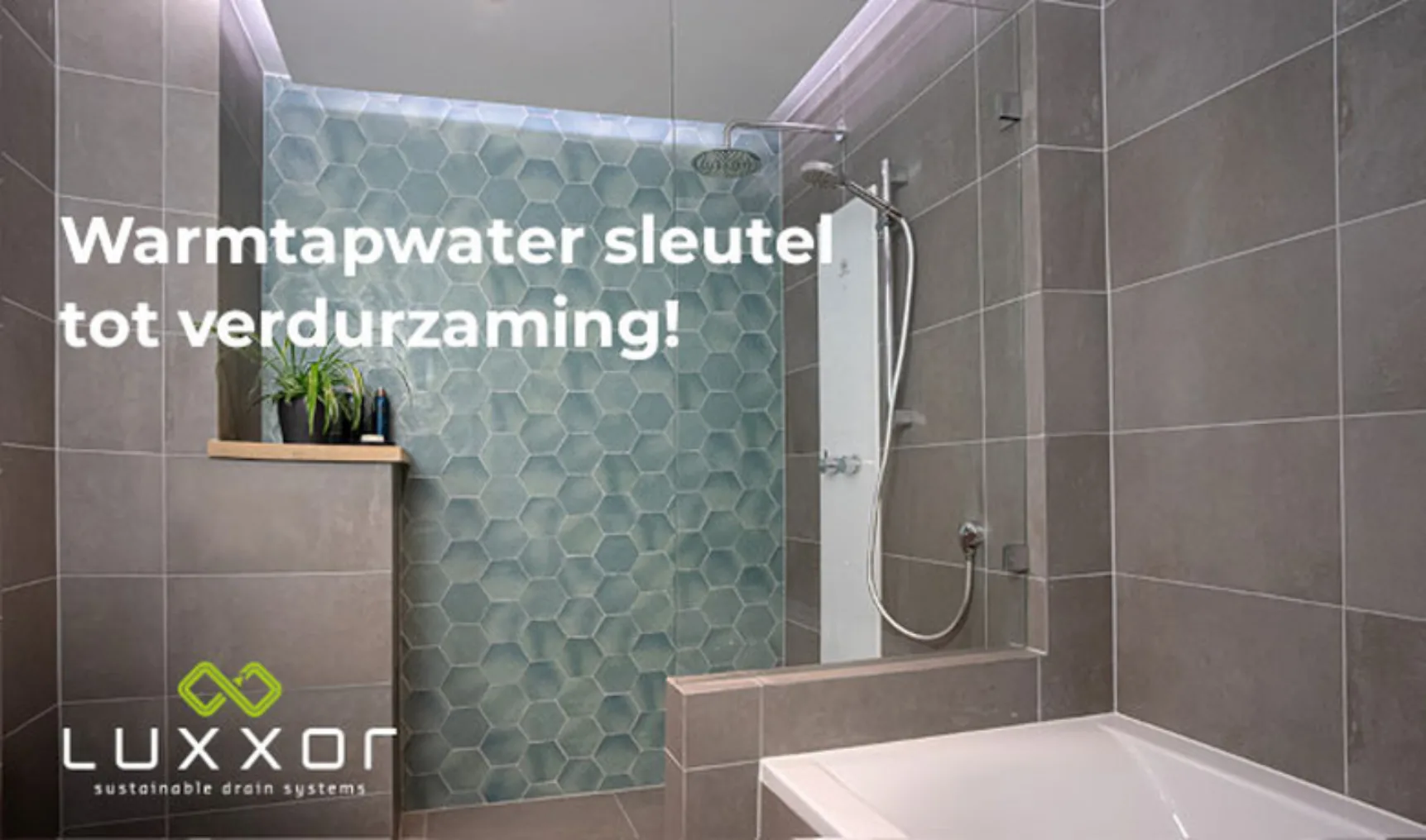 IT20231031 Luxxor 650x383