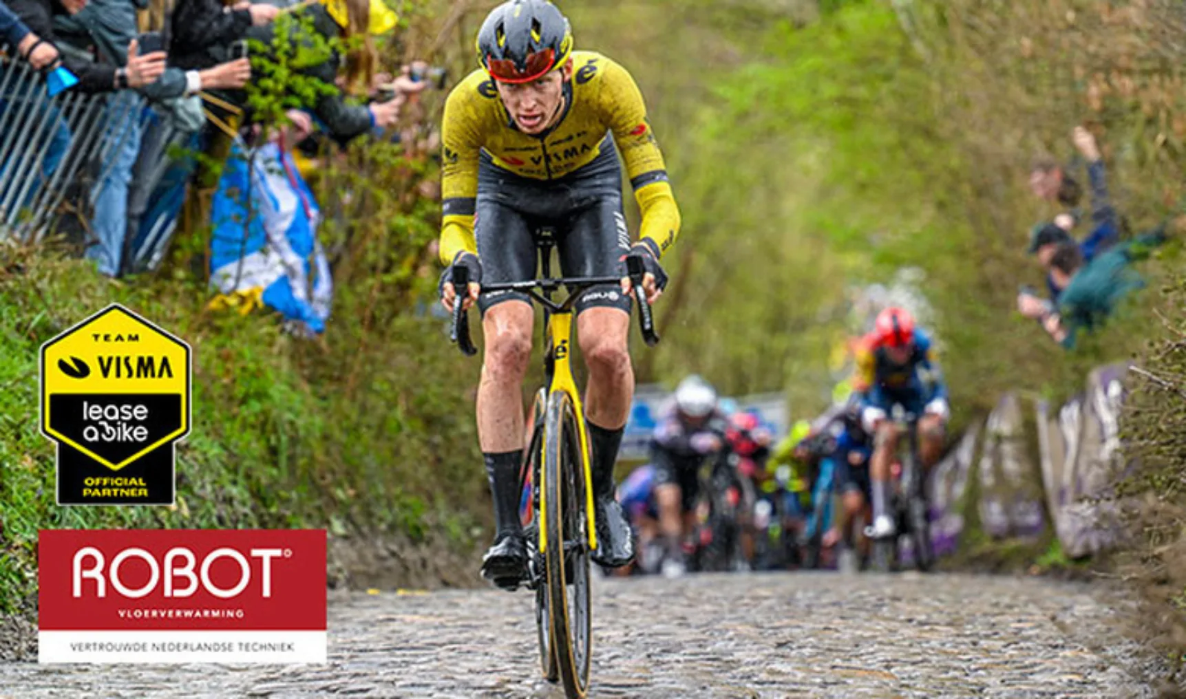 IT20240409 Robot WEB