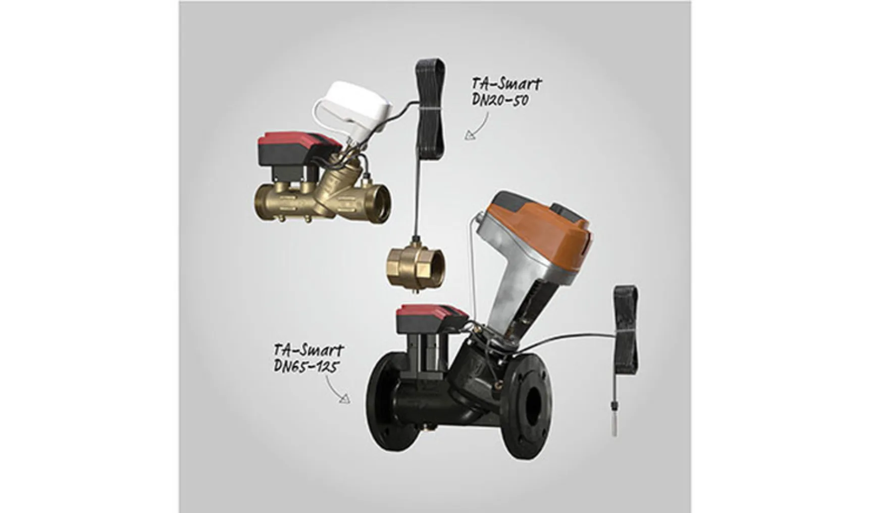 IT20240419 IMI WEB 2