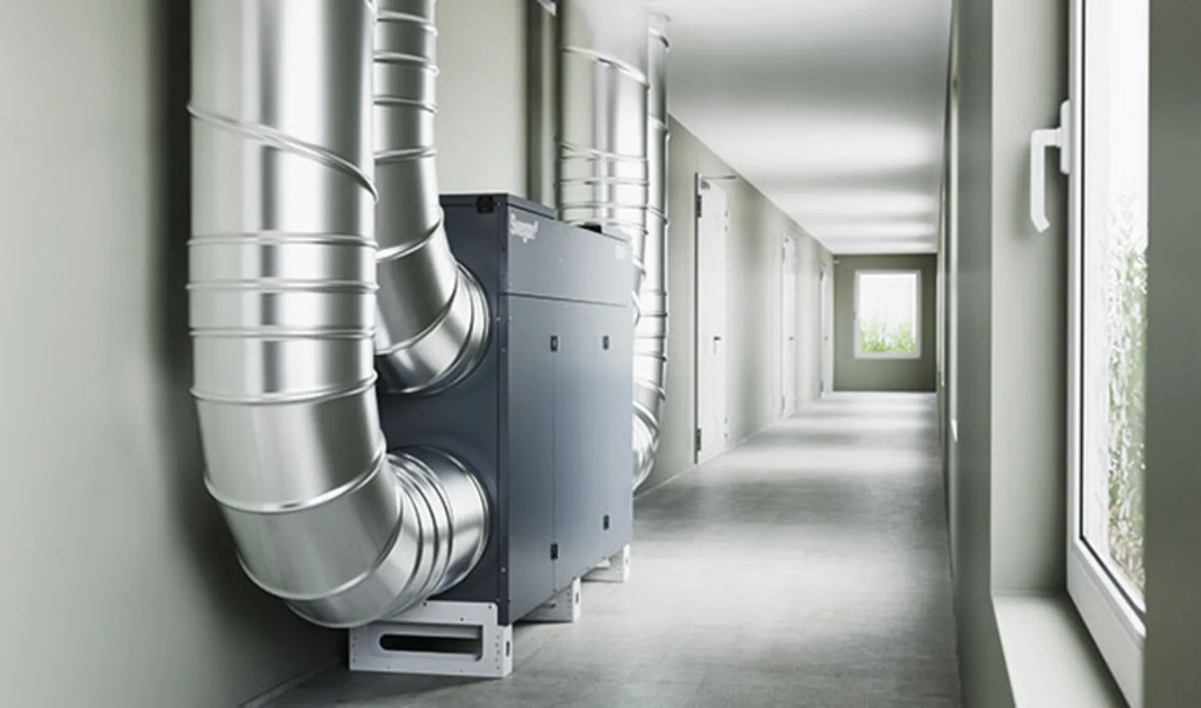 IT20240610 Auerhaan WEB