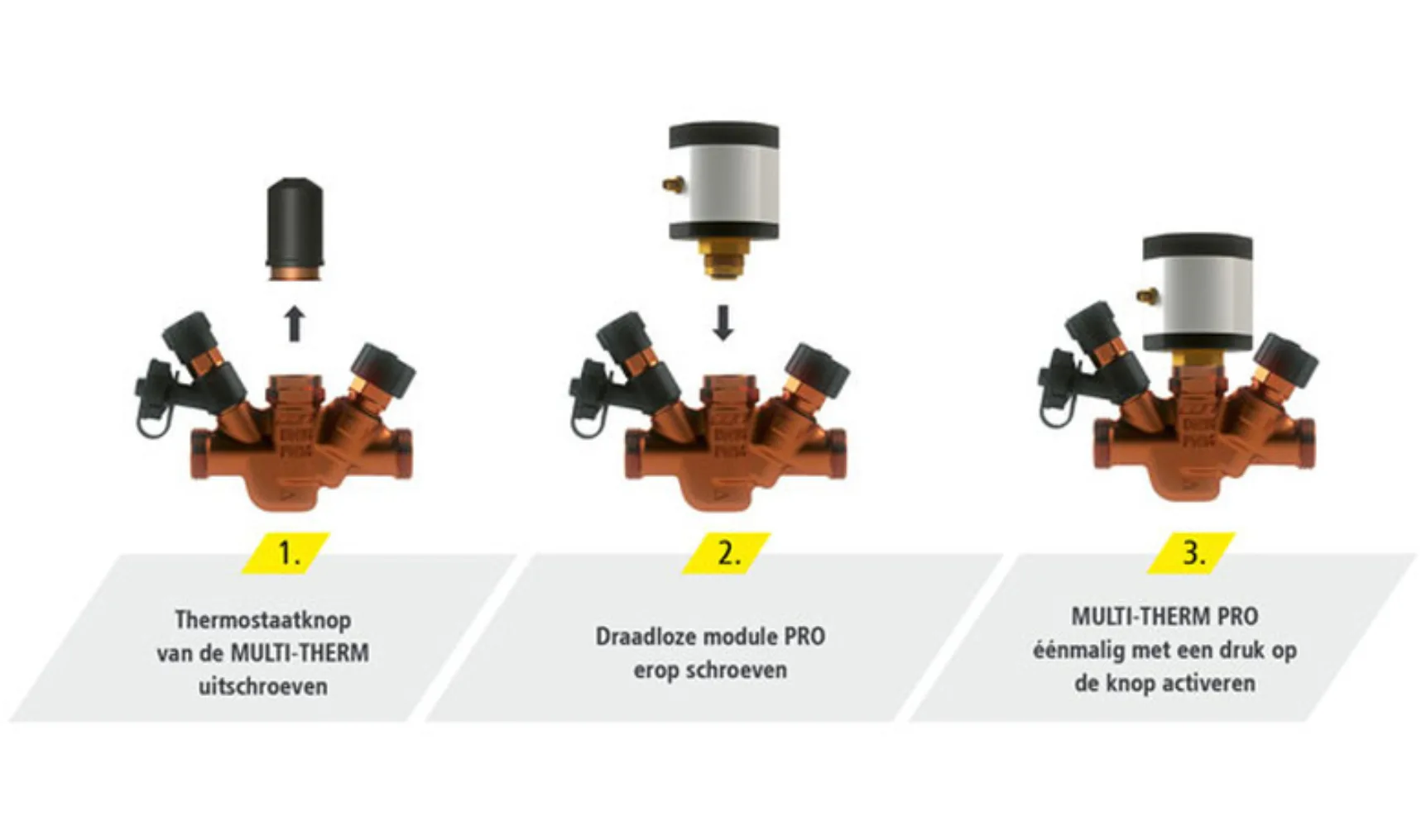 IT20240808 Kemper WEB