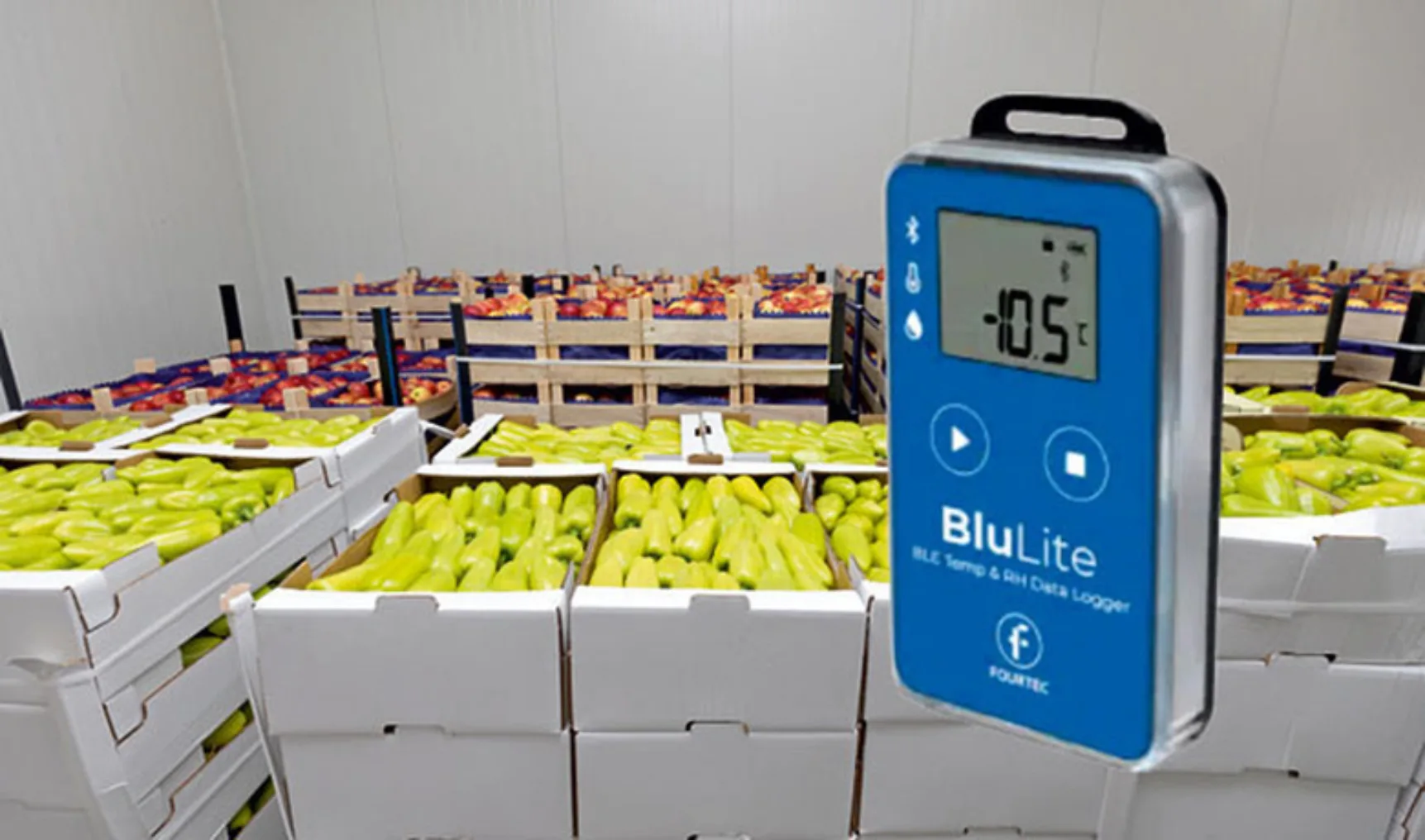 IT20241206 Catec web