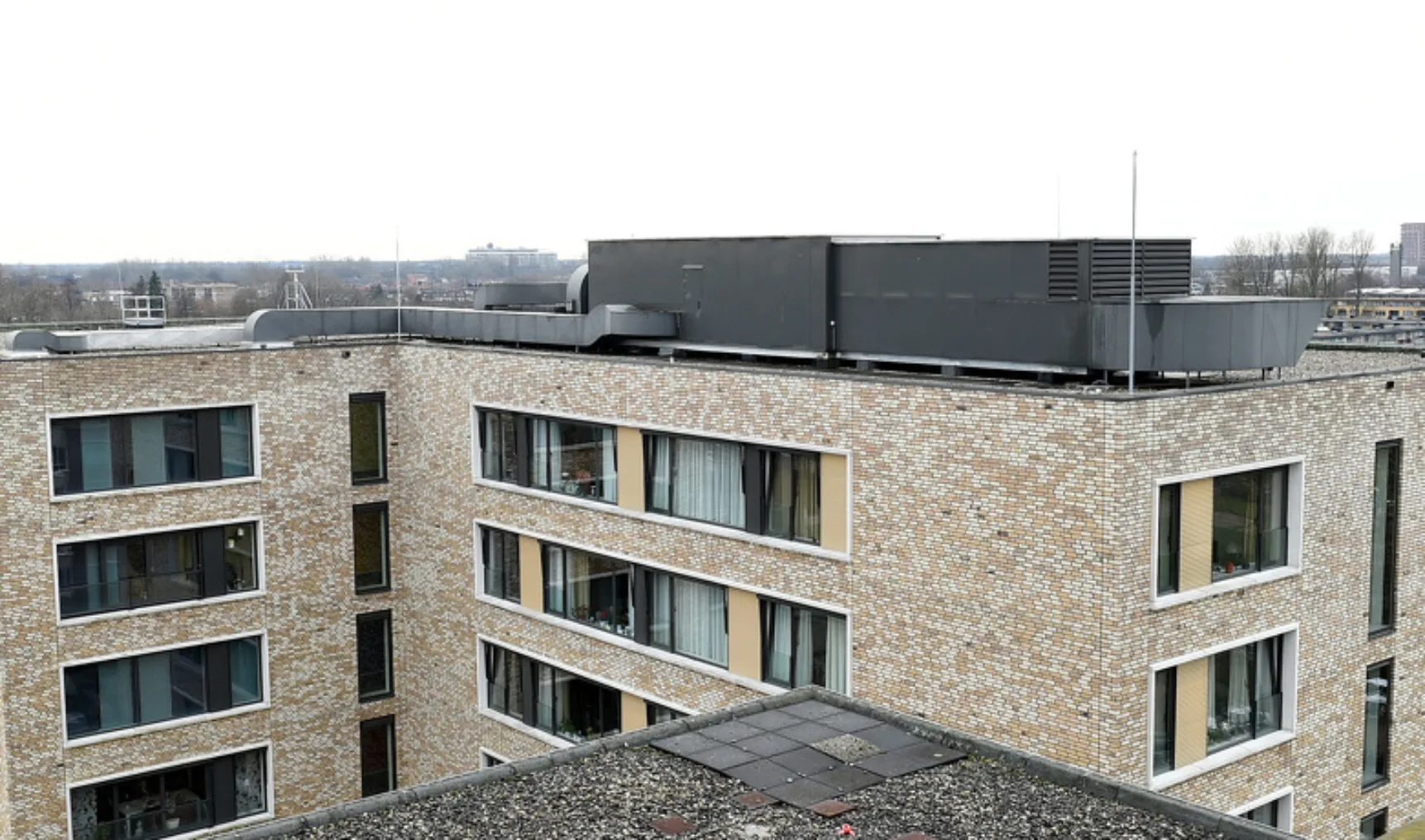 EMST20190204 600b