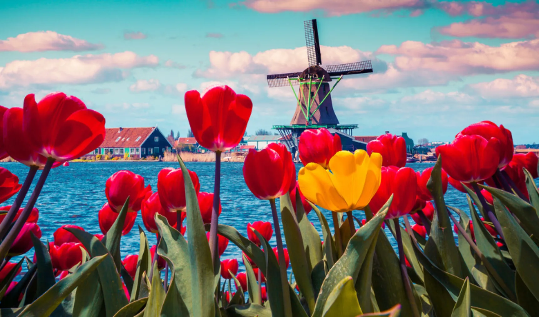 1341 6ecec4f32c077efff1328a5b4a8e5693