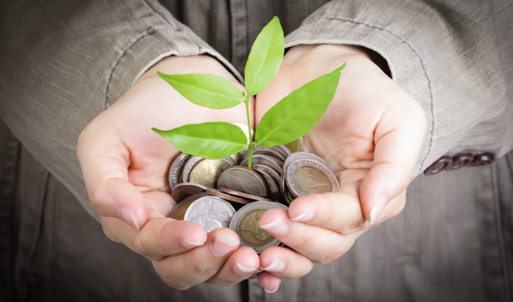 IT Holland solar 2018 06