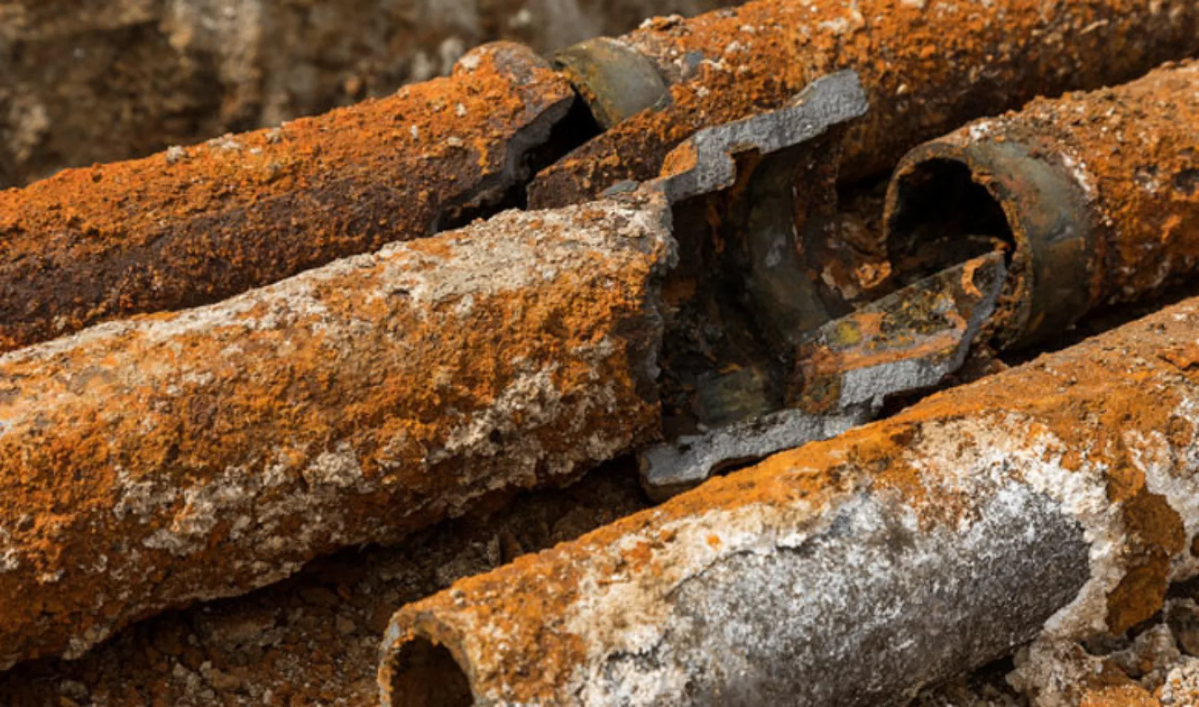 IT2020 02 Parker ROEST