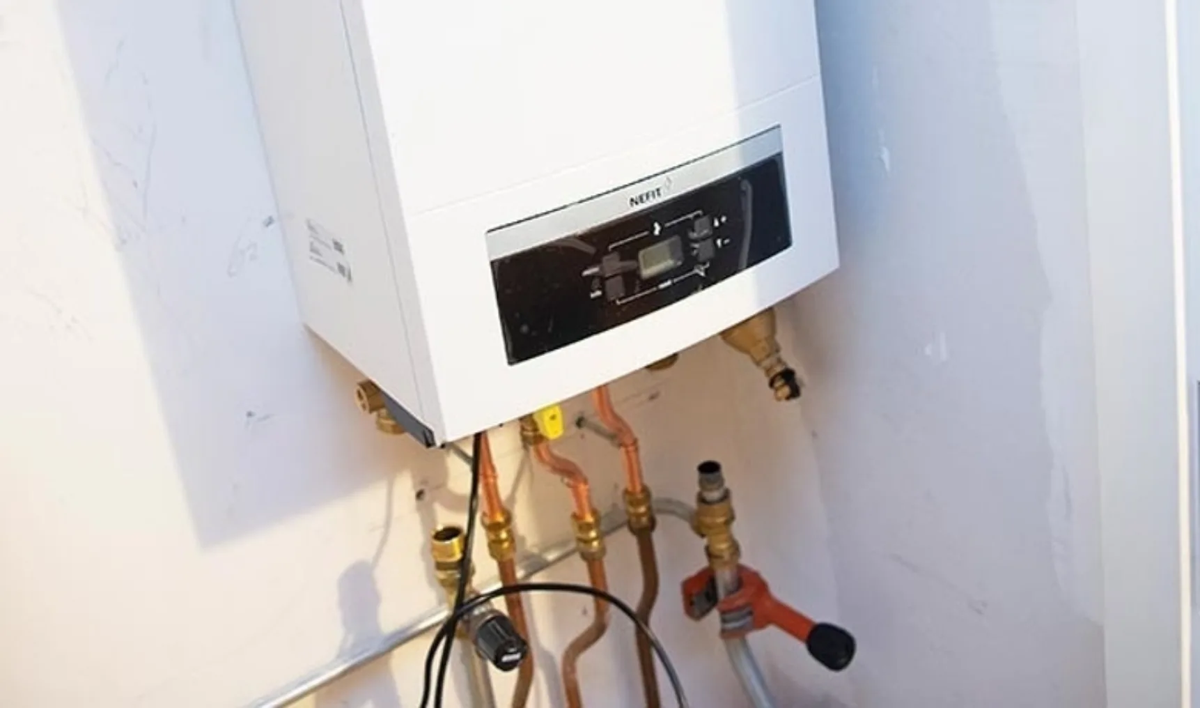 IT202008 Natuur Milieu