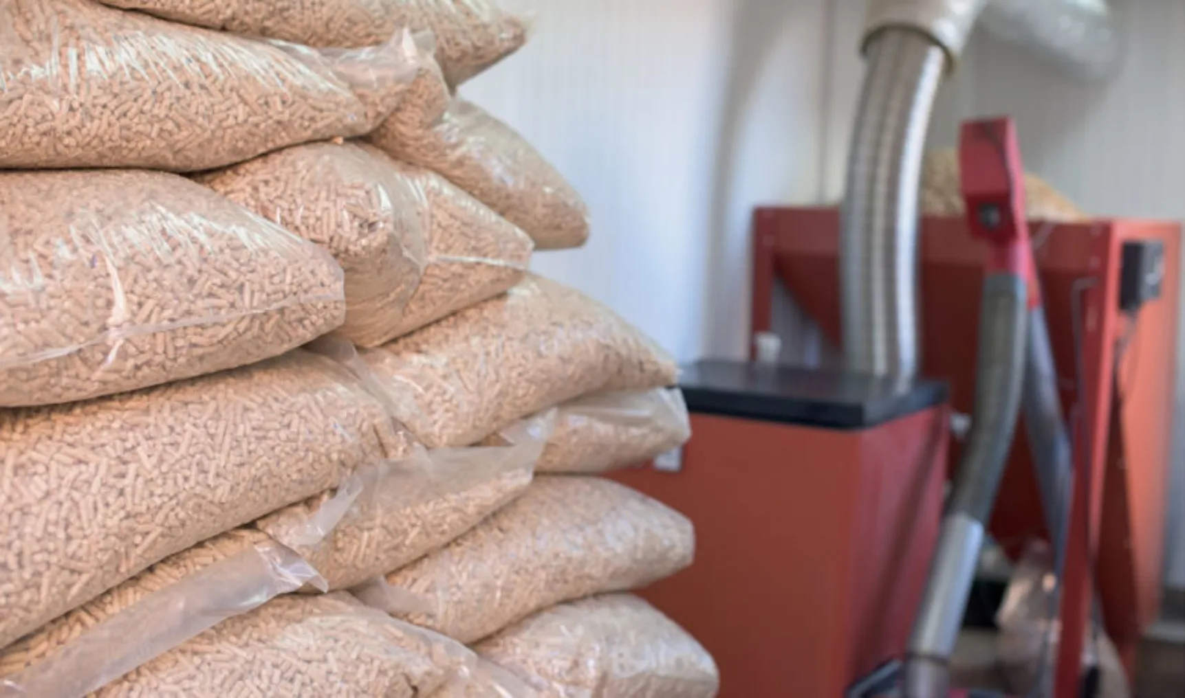 IT202102 Biomassa 650x383