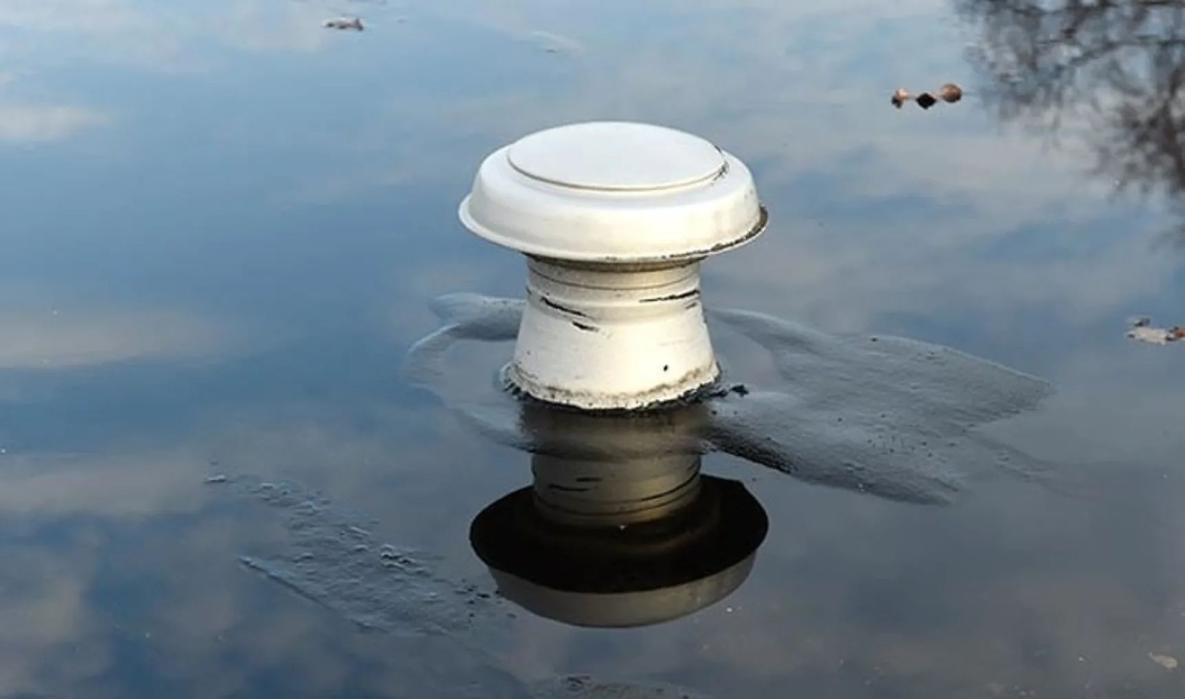 IT202102 Techniek NL 501