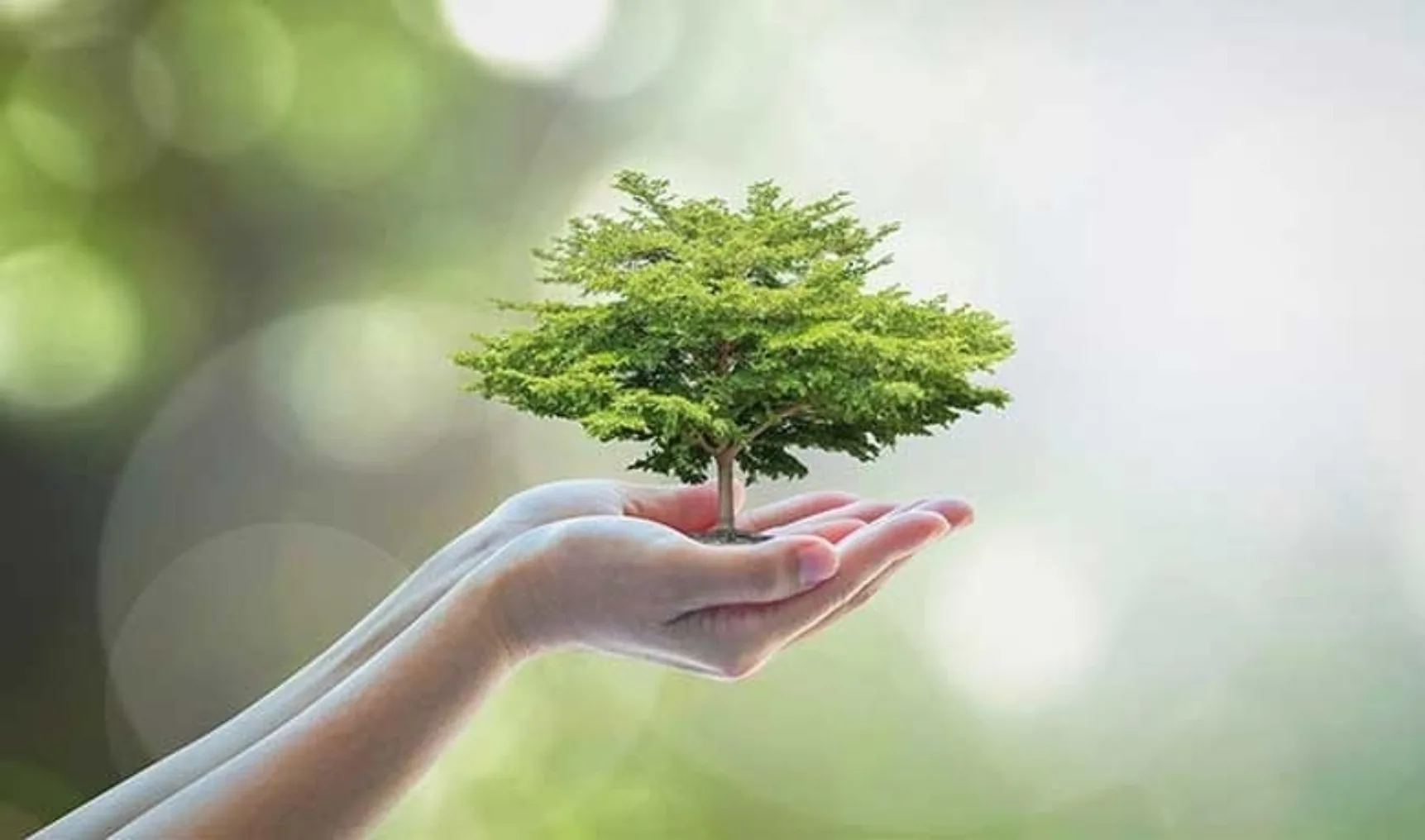 IT202104 Topsector Energie