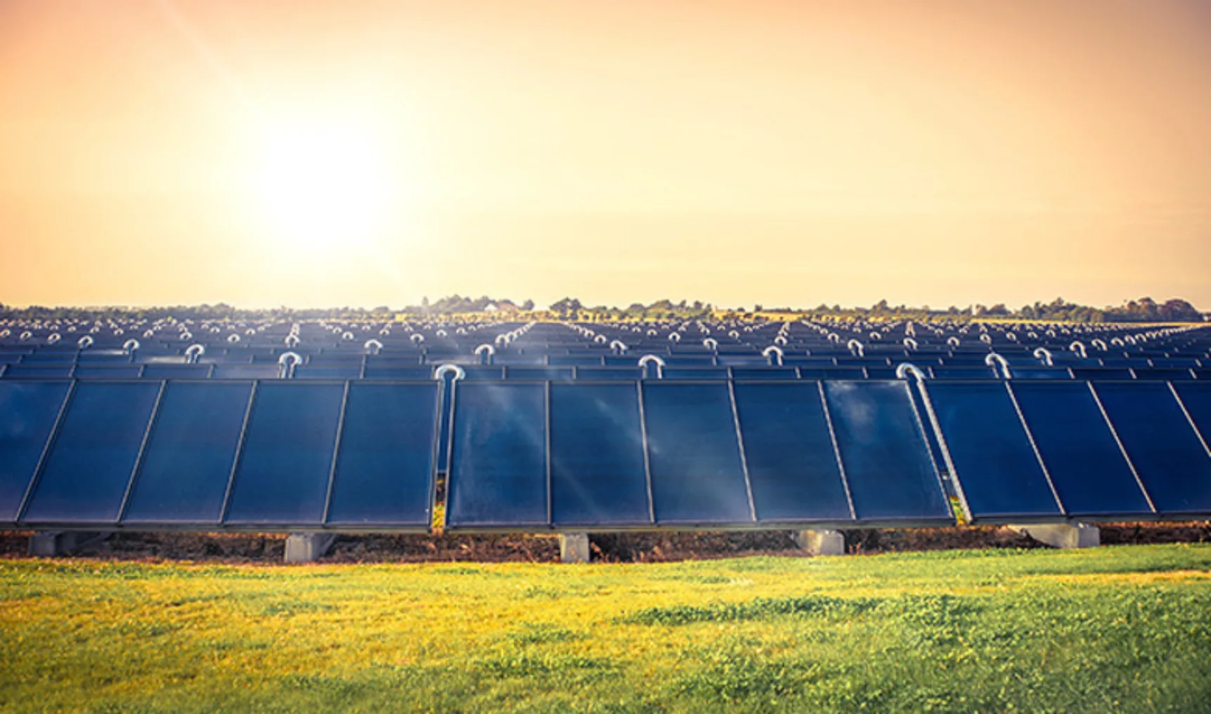 IT20200702 650x383 DV1