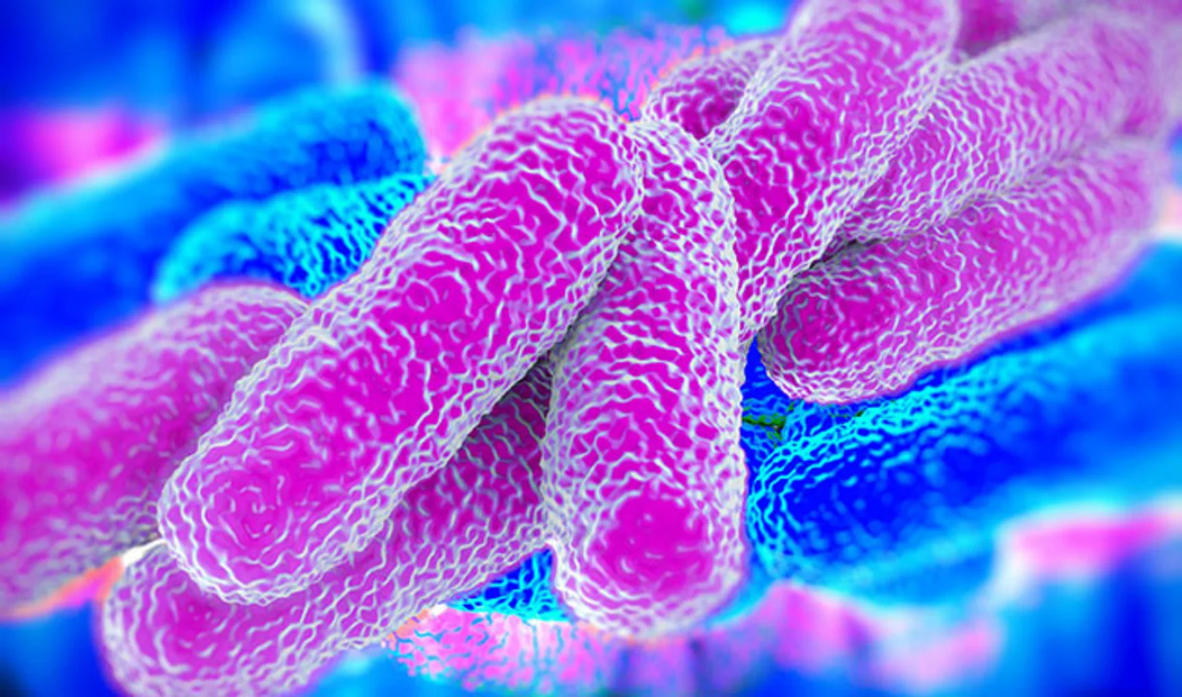 IT20210713 ISSO kleintje legionellapreventie