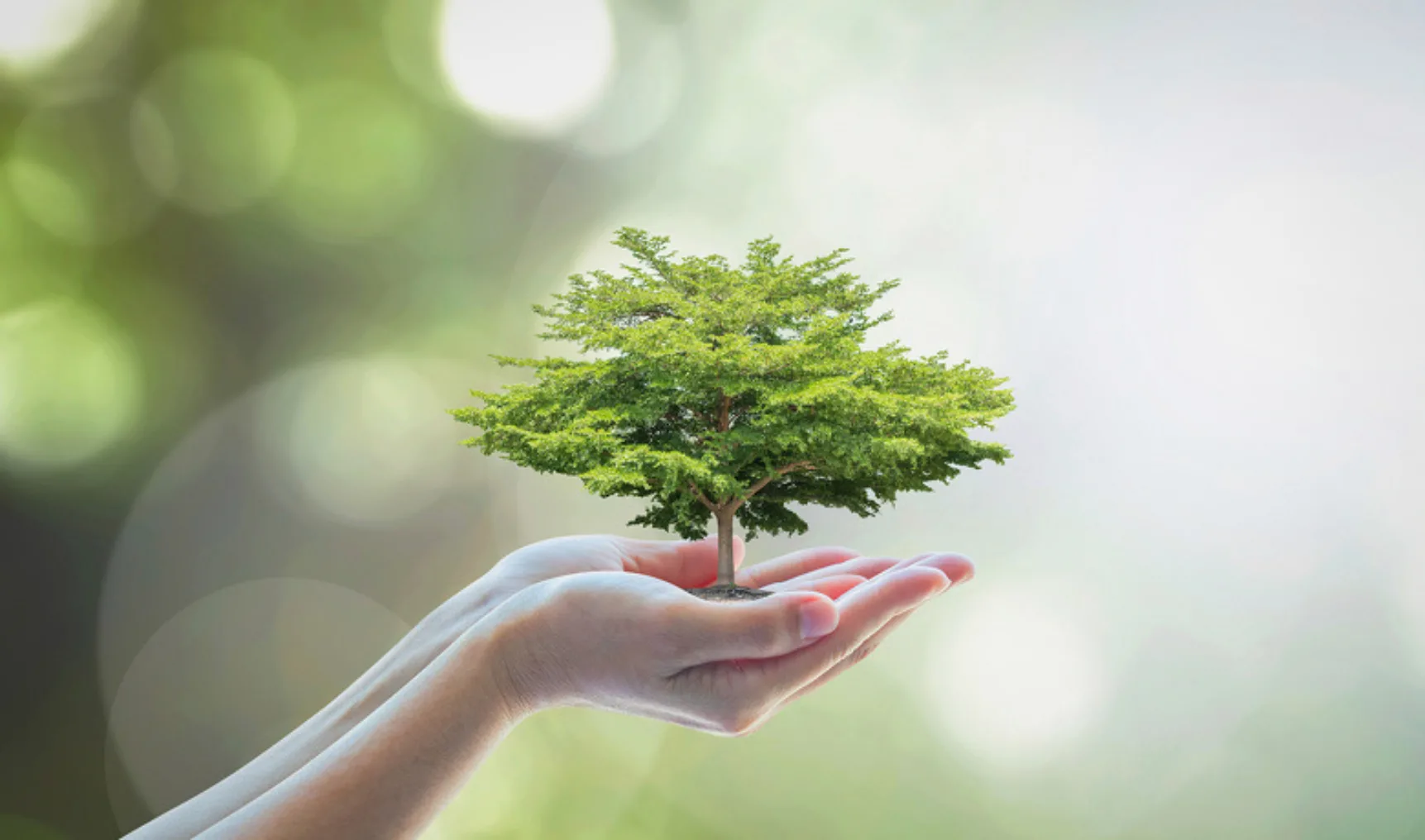 Shutterstock 297917066 klein web 12 04 2017