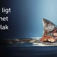  - Installatie Totaal